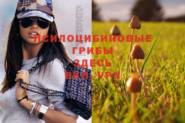дживик Остров