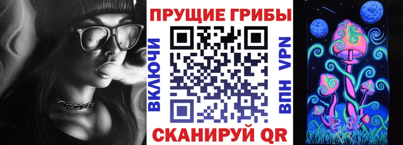 Галлюциногенные грибы Cubensis  Кушва 