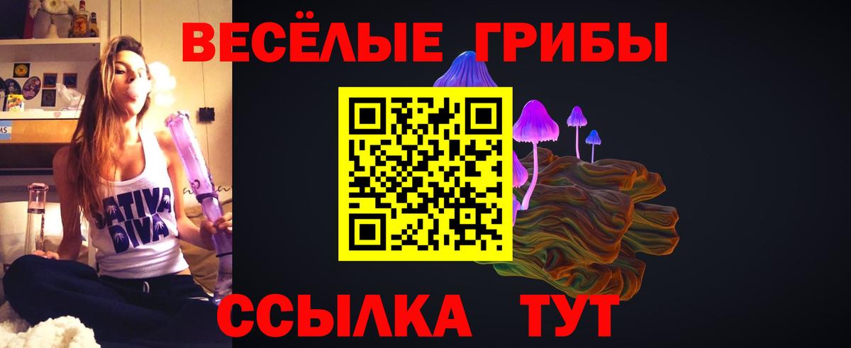 Галлюциногенные грибы мухоморы  Псилоцибиновые грибы Psilocybe  Вход с VPN  Кушва 